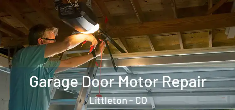  Garage Door Motor Repair Littleton - CO