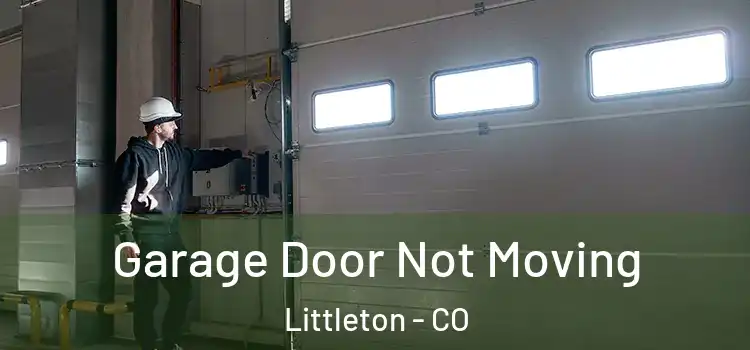  Garage Door Not Moving Littleton - CO