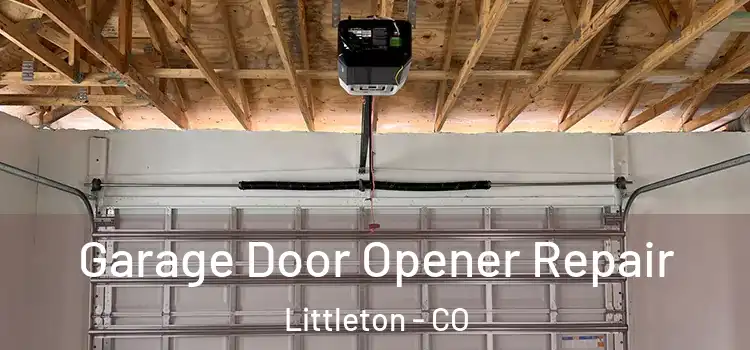  Garage Door Opener Repair Littleton - CO