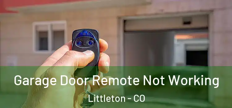  Garage Door Remote Not Working Littleton - CO