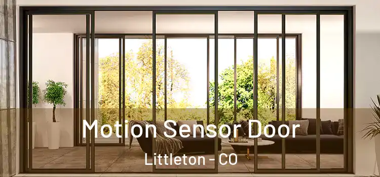 Motion Sensor Door Littleton - CO
