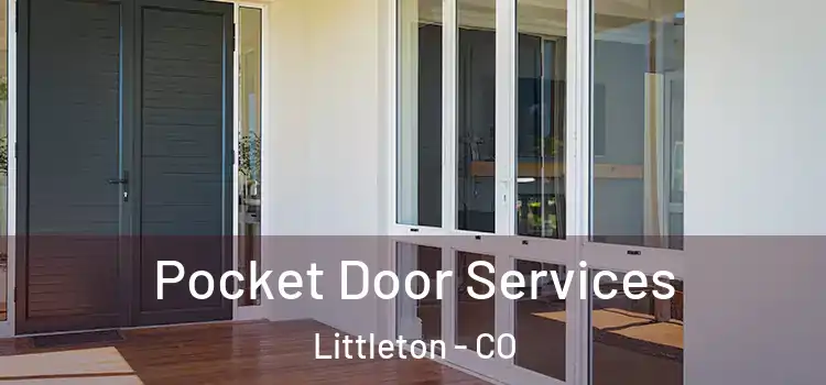 Pocket Door Services Littleton - CO